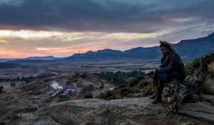 Five Fingers for Marseilles